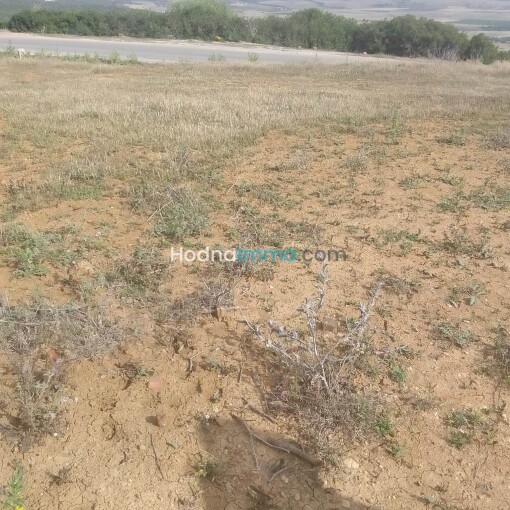 Land 170m For Sale-4