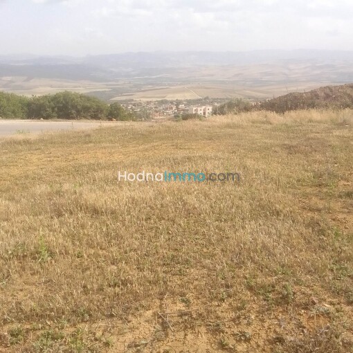 Land 170m For Sale-3