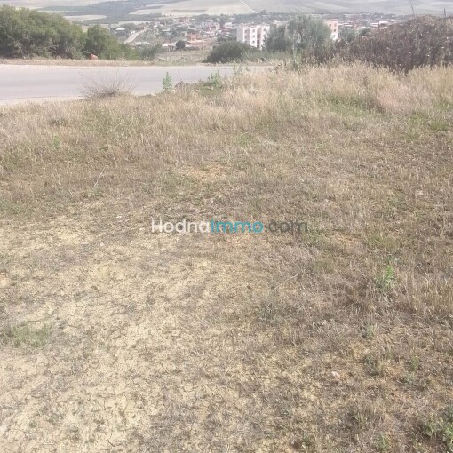 Land 170m For Sale-1