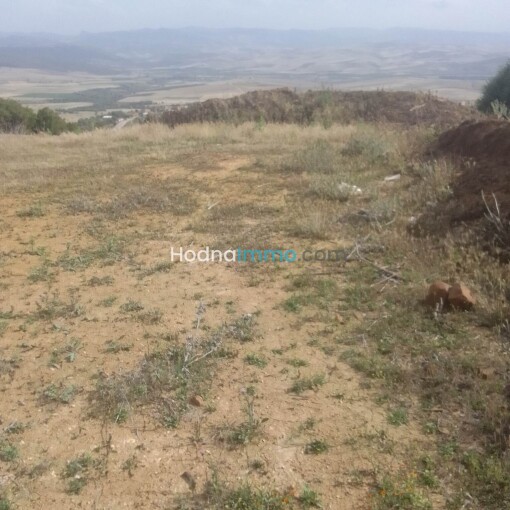 Land 170m For Sale-6
