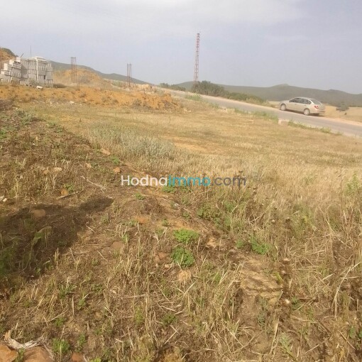 Land 170m For Sale-2