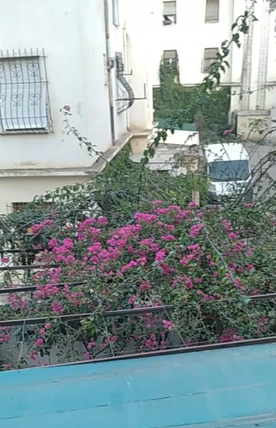 بيع شقة في بوعيبة