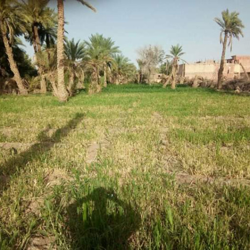 Land 1200m² For Sale-0