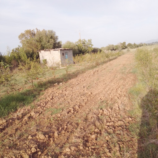 Farmland 30000m² For Sale-3