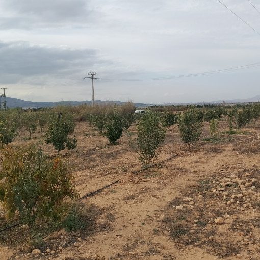 Terres agricoles 22300m² À vendre-8