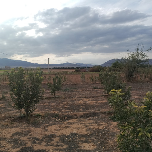 Farmland 22300m² For Sale-7