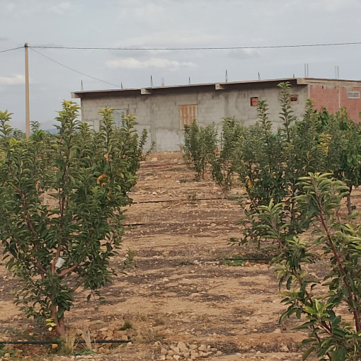 Terres agricoles 22300m² À vendre-6