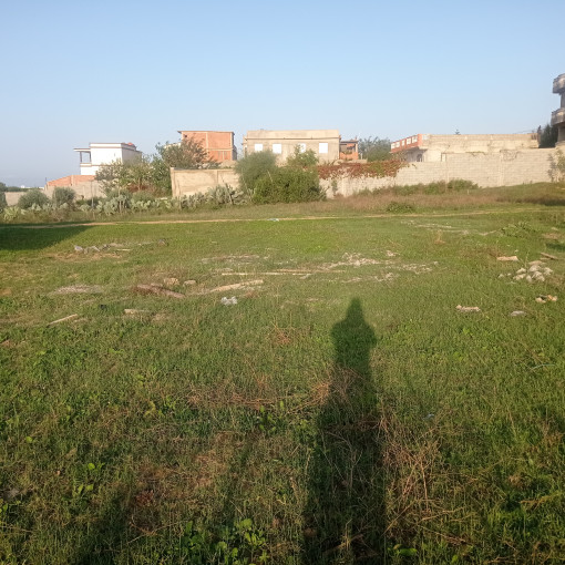 Land 250m² For Sale-4