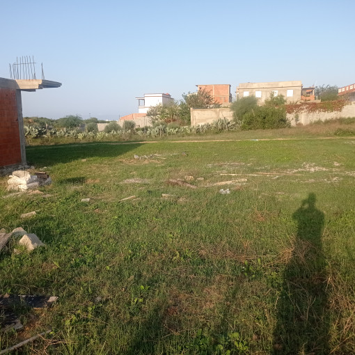 Land 250m² For Sale-3