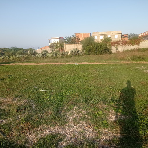 Land 250m² For Sale-5