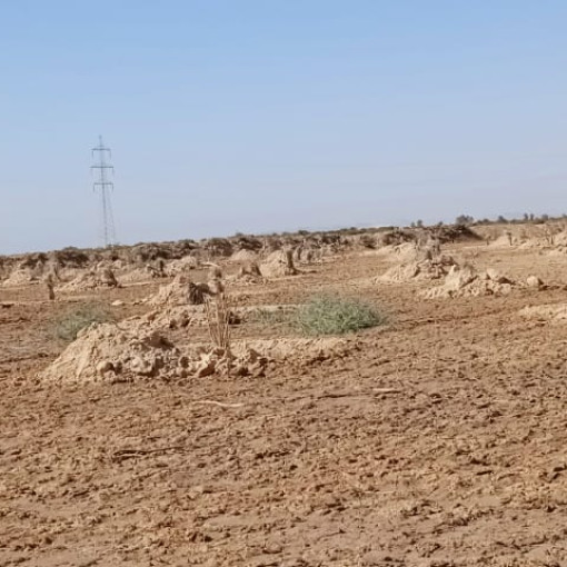 Terres agricoles 150000m² À vendre-9