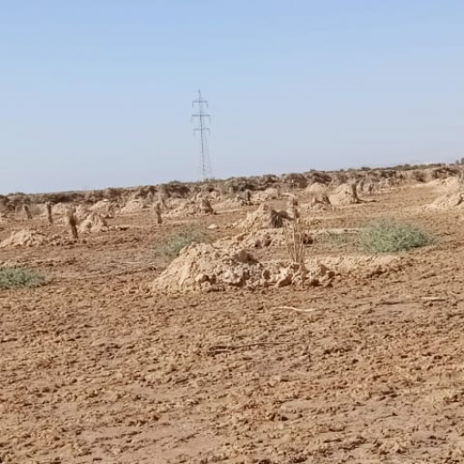 Terres agricoles 150000m² À vendre-10