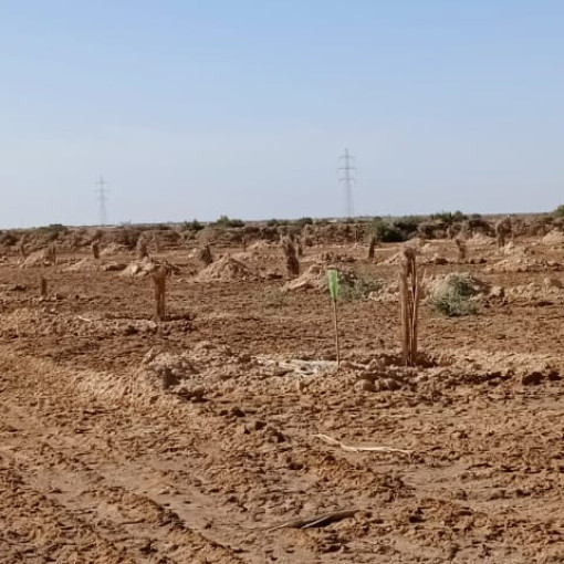 Terres agricoles 150000m² À vendre-11