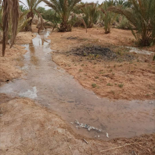 Terres agricoles 3700m² À vendre-0