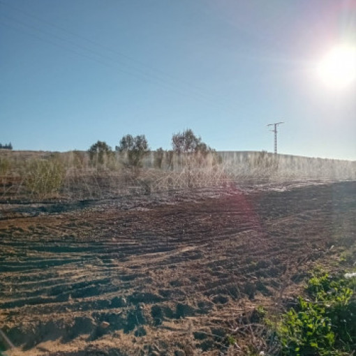 Land 1800m² For Sale-0