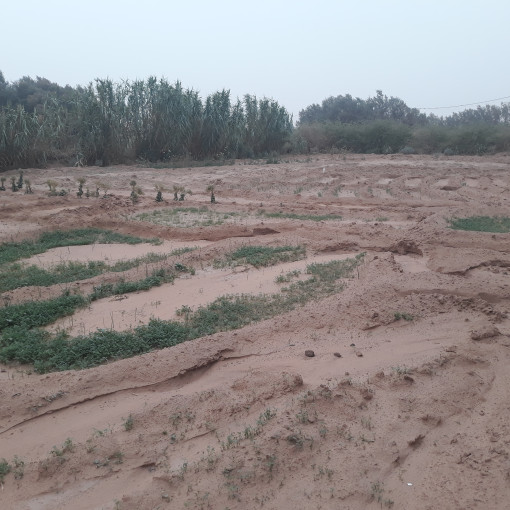 Terres agricoles 50000m² À vendre-0