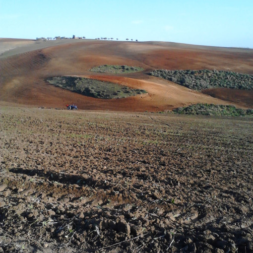 Terres agricoles 7m² À vendre-0