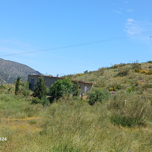 Terres agricoles 10000m² À vendre-0