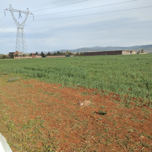 Terres agricoles 3.13m² À vendre-0