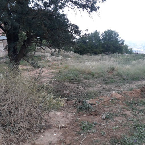 Land 6.55m² For Sale-1