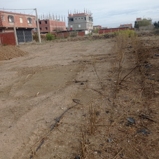 Land 400m² For Sale-1