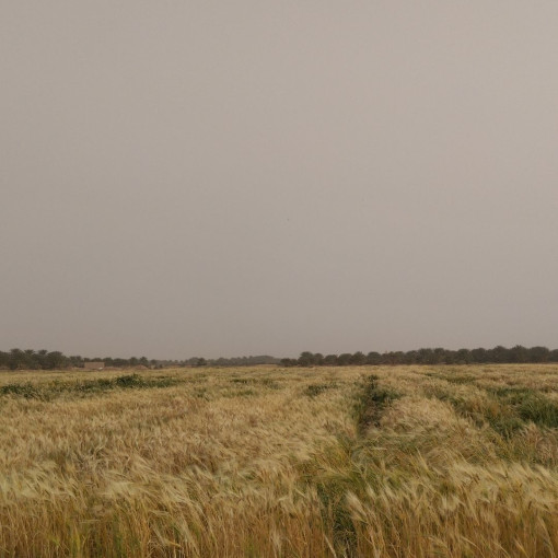 Terres agricoles 87000m² À vendre-3