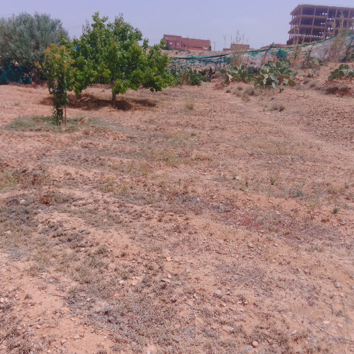 Land 1600m² For Sale-1