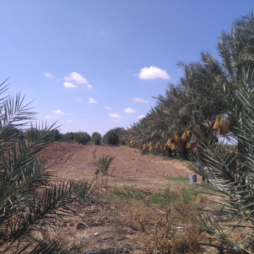 Terres agricoles 22500m² À vendre-1