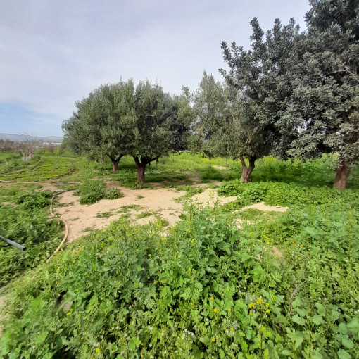 Farmland 40500m² For Sale-12