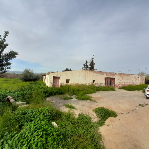 Farmland 40500m² For Sale-1