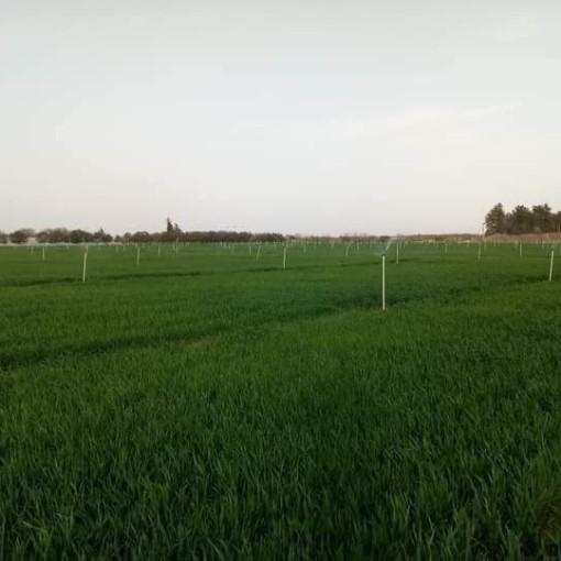 Farmland 107500m² For Sale-11