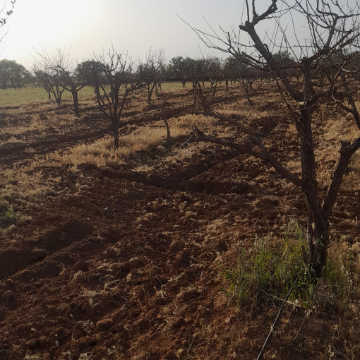 Terres agricoles 160000m² À vendre-11