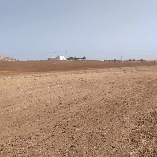 Land 50000m² For Sale-11