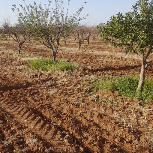 Terres agricoles 160000m² À vendre-12