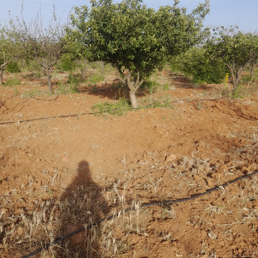 Terres agricoles 160000m² À vendre-13