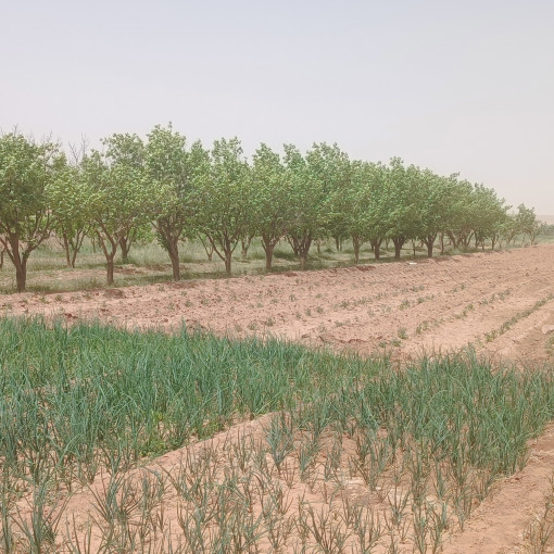 Terres agricoles 100000m² À vendre-13