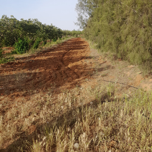 Terres agricoles 160000m² À vendre-18