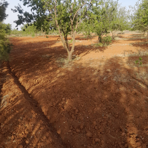 Terres agricoles 160000m² À vendre-19