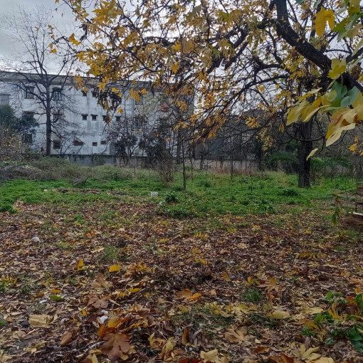 Land 1953m² For Sale-2