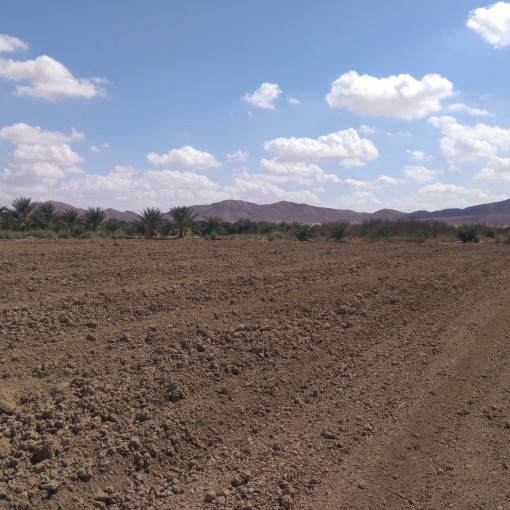 Terres agricoles 22500m² À vendre-2