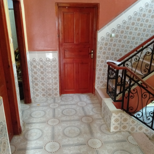 House 539m² For Sale-2