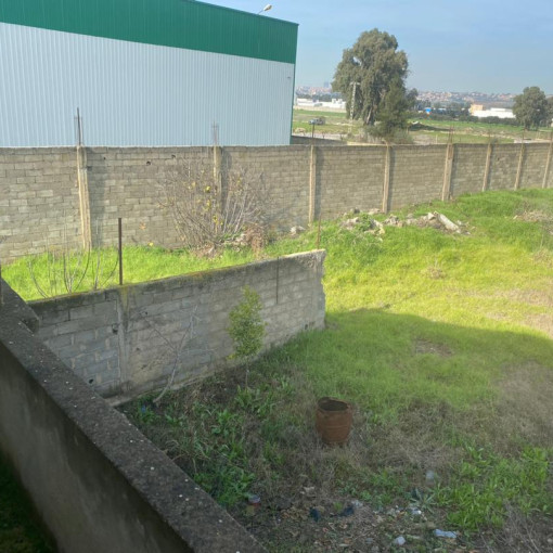 Land 5000m² For Sale-2