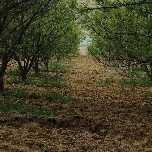 Terres agricoles 5.20m² À vendre-2