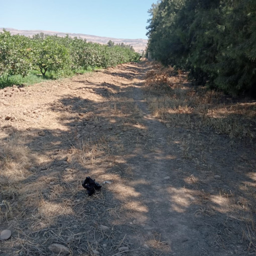 Terres agricoles 120000m² À vendre-3