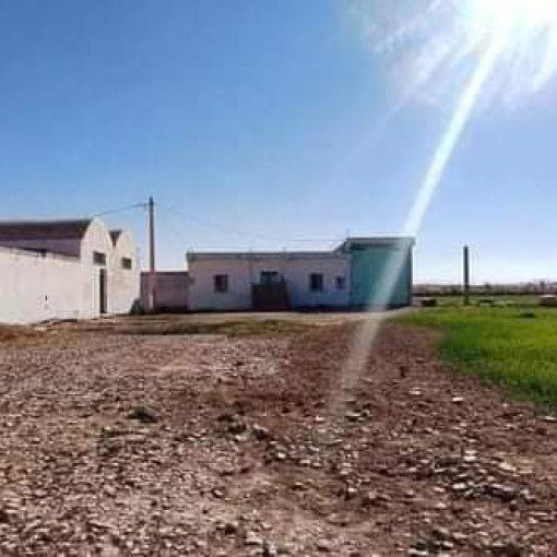 Farmland 107500m² For Sale-3