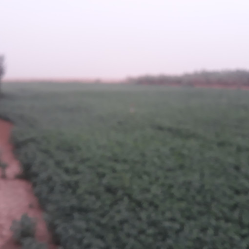 Farmland 50000m² For Sale-4