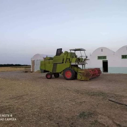 Terres agricoles 107500m² À vendre-4