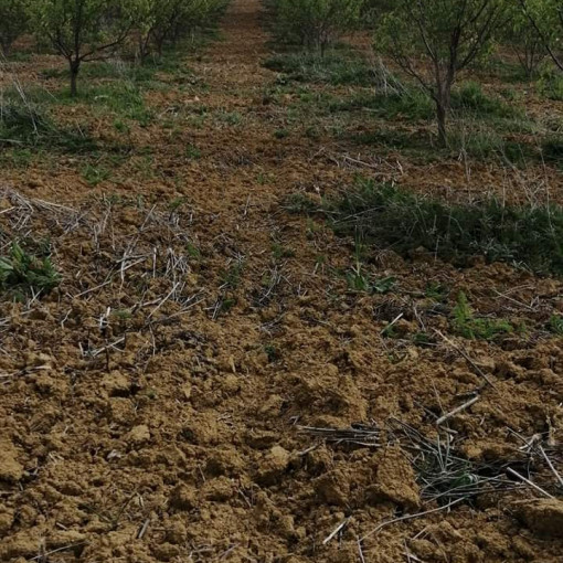 Terres agricoles 5.20m² À vendre-4