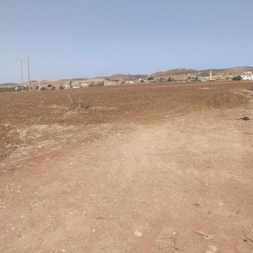 Land 50000m² For Sale-5