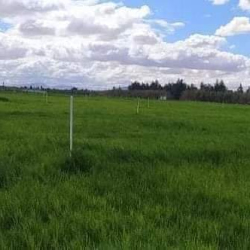 Farmland 107500m² For Sale-5